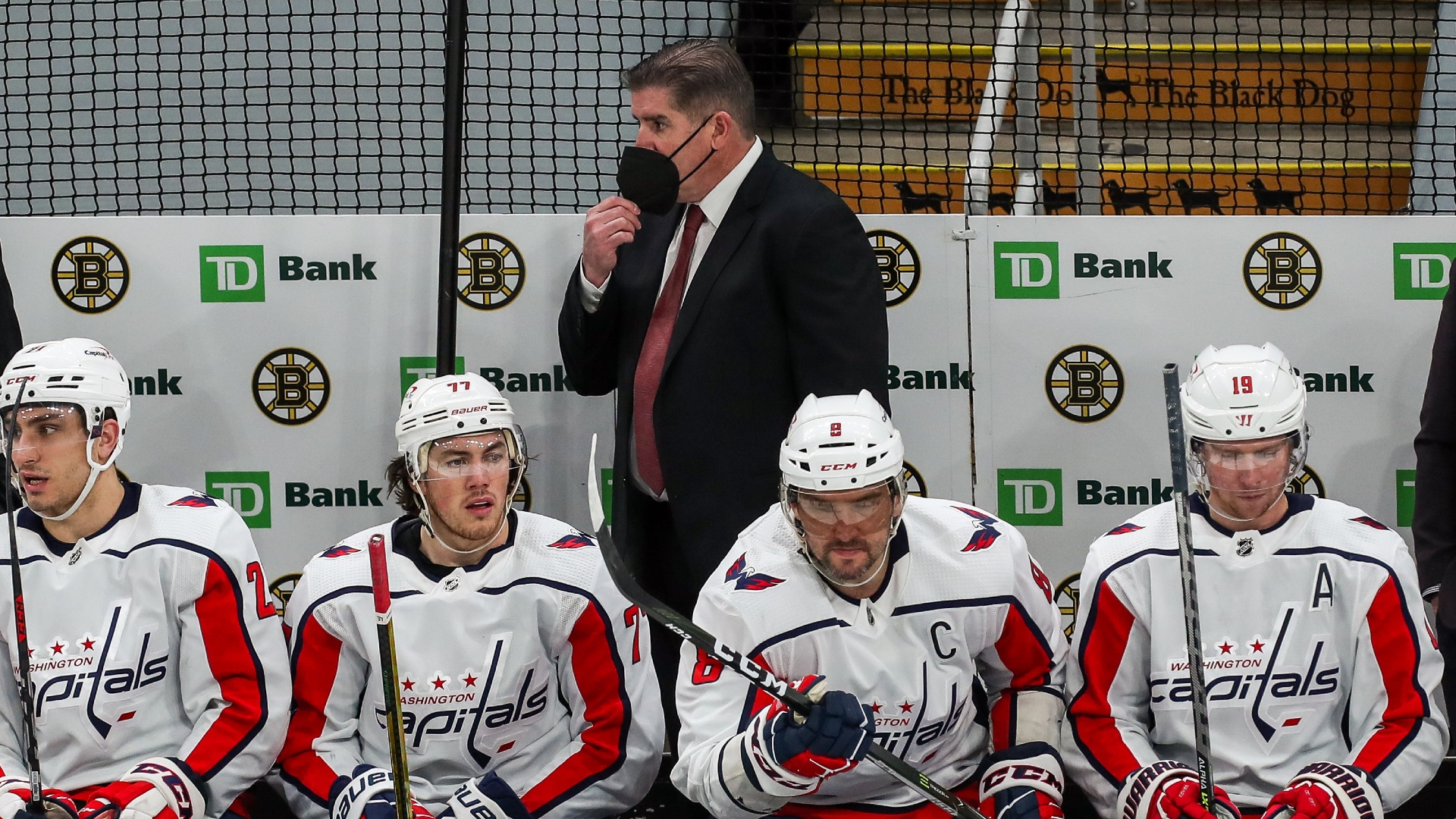 Peter Laviolette stands behind the Capitals' bench